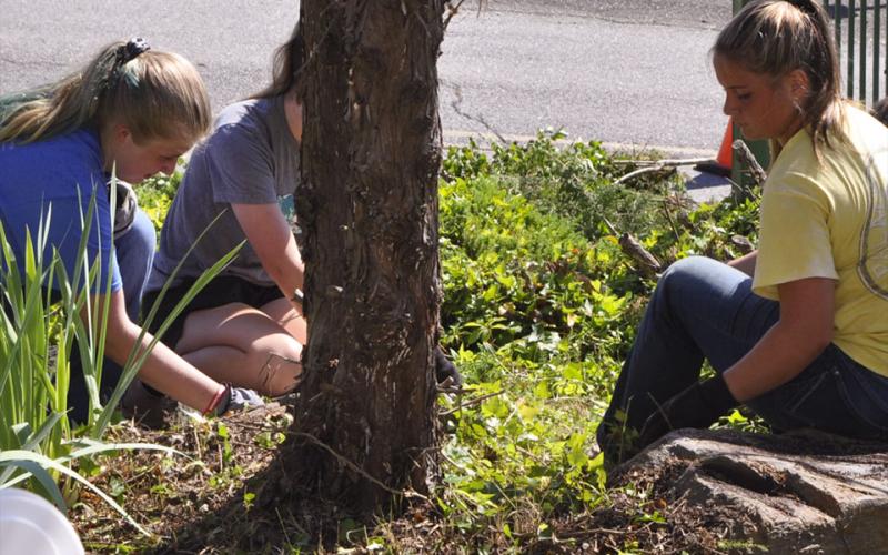 FFA members, from left Samantha Adkins, Zoe Pitman and Kaleighann Ware pull overgrown ivy and weeds outside the Fannin County Detention Center Wednesday, June 30.