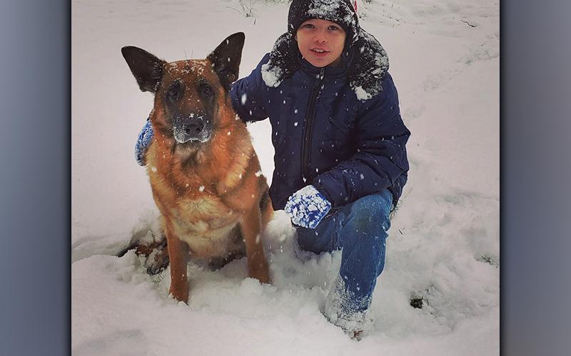 Clay Maddox and his dog, Jake, playing in the snow. Jake died June 7 after being shot by a family neighbor.