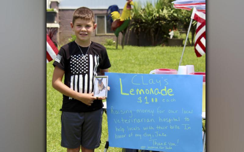 Clay Maddox, age 9, of Morganton, stands next to his lemonade stand in front of his home off Morganton Highway, where he is raising funds for Ocoee Animal Hospital in honor of his recently passed German Shepherd, Jake, pictured in the frame.