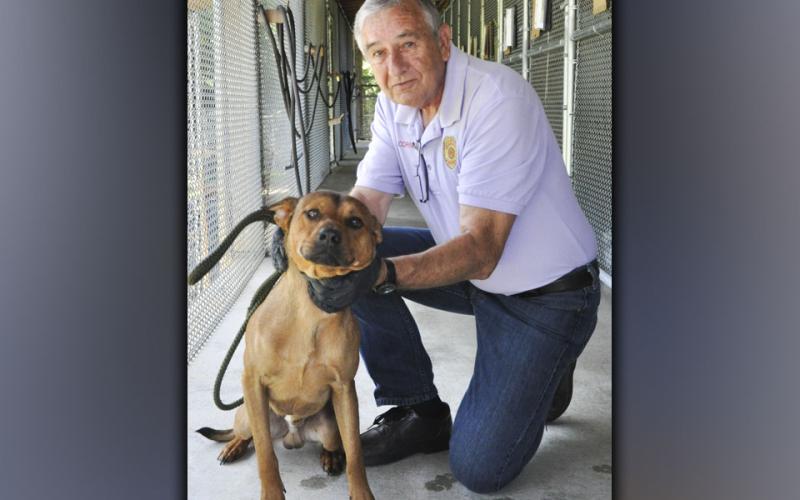 This male mix was picked up on Joy Road in McCaysville June 29. He has a short, brown coat and seems well behaved. View him using intake number 208-21. He is shown with Fannin County Animal Control Interim Manager J.R. Cornett.