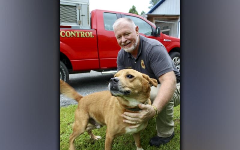 This male mix was dropped off at Animal Control July 29, 2021. This playful boy has a short, reddish brown coat with white on his chest, under his chin and on all four paws. View him using intake number 270-21. He is shown with Animal Control Officer Paul Cochran.