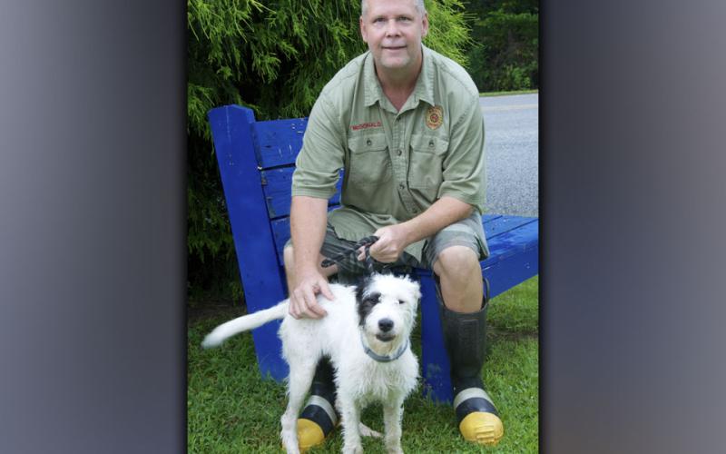 This female Terrier mix was picked up on Aska Road in Blue Ridge August 17. She has a wirey white coat with a black spot on her head. View this cutie using intake number 294-21. She is shown with animal control Officer Luke McDonald.