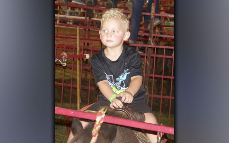 Jamison Sutton takes advantage of the pony rides during the 25th Annual Kiwanis Club of Blue Ridge and Mountain Valley Motors Rodeo Saturday, August 21.