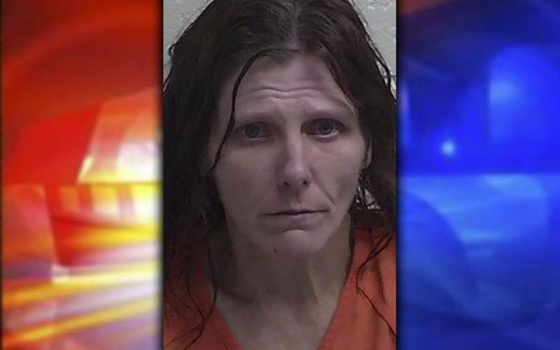 Karen Michelle Woods