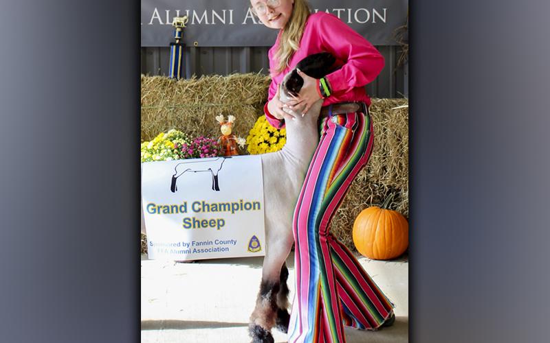 4H Member Addison McDermott won Grand Reserve Champion Saturday, September 18, at the FFA Youth Fair. Addison also won first place in the Market Lamb class and second place in the Breeding Ewes class.