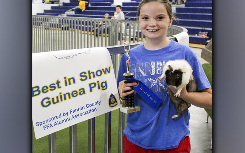 FFA Middle School member Sarah Brawley and, Bugsy, won Best of Show and first place buck in the guinea pig category at the annual FFA Youth Fair Saturday, September 18. Sarah also placed third in the intermediate class for Market Goat Showmanship and third in Market Goats weight class 1.
