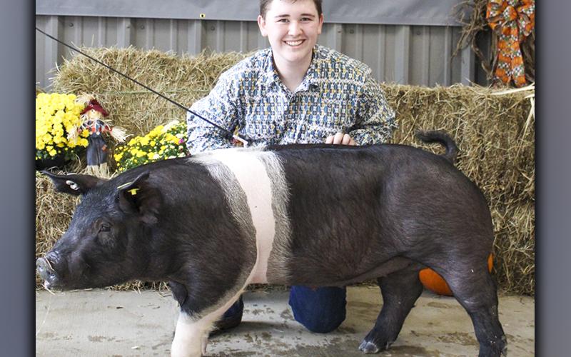 FFA High School member Blake Nicholson and his hog, Reba, won Grand Champion Market Hog September 18 at the FFA Youth Fair. Blake also won first place in Market Hogs class 2, second place Market Hog showmanship, first place Fancy Rooster, first place commercial rooster and Best in Show Chicken.