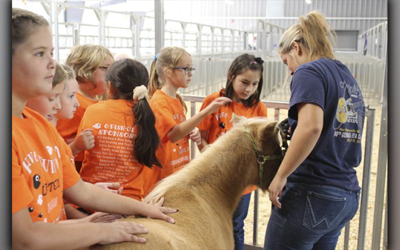 West Fannin Elementary third graders engaged with sheep, goats, pigs and this miniature horse at the Georgia Ag Experience day Thursday, September 9. Among those petting the horse are, from left, Heidi Petraroi, Hunter Barnes, Carlee Krum, Olivia O’Neal and Aeva Wilson of West Fannin Elementary School, and High School FFA member Zoe Putnam.