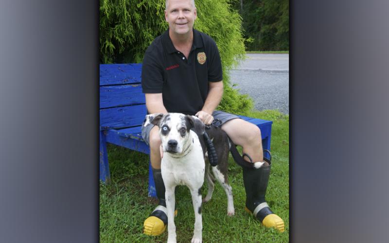 This male Catahoula mix was picked up on Madola Road in Epworth August 31. He has a white coat with black spots and one blue and one brown eye. View this good boy using intake number 314-21. He is shown with animal control Officer Luke McDonald.