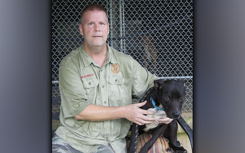 This male Lab mix, named Tippy, was surrendered by his owner May 11. He has a black coat with a white chest, and he is ready for his fur-ever home. View this boy using intake number 144-21. He is shown with animal control Officer Luke McDonald.