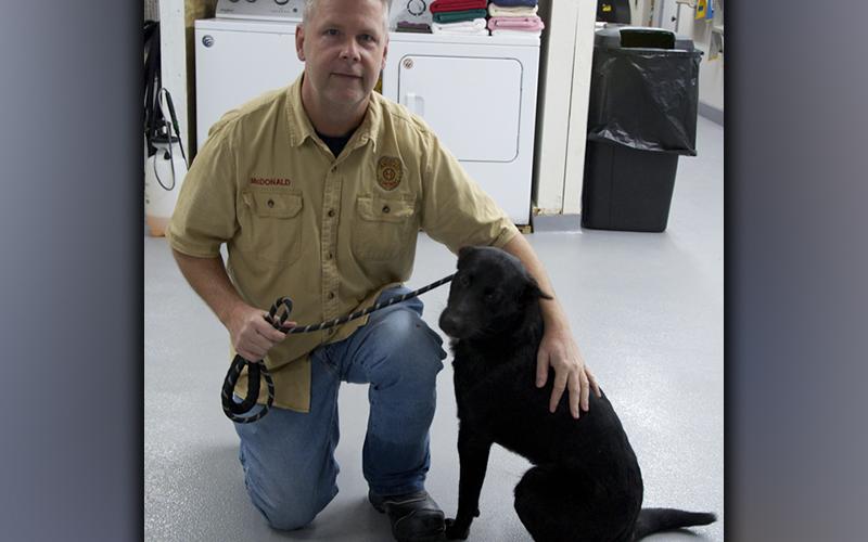 This male mix was picked up on Old Highway 5 in Blue Ridge December 21. This boy is solid black and has a lame front leg. View this sweetie using intake number 424-21. He is shown with animal control Officer Luke McDonald.