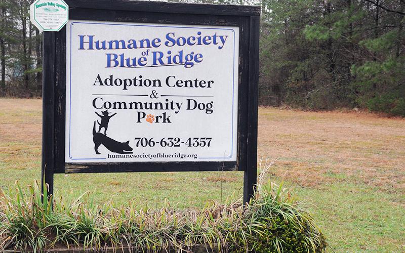 The Humane Society of Blue Ridge has been awarded a $239,000 grant to go toward construction of a veterinarian clinic.