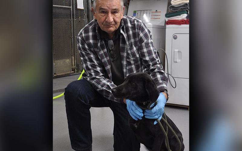 This male Lab mix was picked up on Madola Road January 3. This boy is all black with a short coat. View this good boy using intake number 003-22. He is shown with Animal Control interim manager J.R. Cornett.