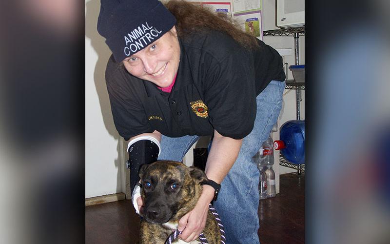 This female mix was picked up on Highway 515 in Morganton January 8. This sweet girl has a short, brown brindle coat. View her using intake number 010-22. She is shown with animal control Officer Michelle Degner.
