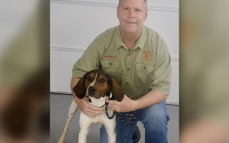 This male Walker Hound, who volunteers named Joe, was picked up on Devils Den Road in Epworth March 19. He has a white, black and brown coat. View this good boy using intake number 082-22. He is shown with animal control Officer Luke McDonald.