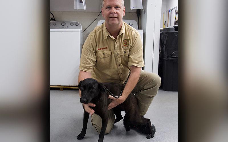 This cutie is a female lab mix who was picked up in Mineral Bluff. She has a solid black coat. View this pupper using intake number 114-22. She is shown with Animal Control Officer Luke McDonald.