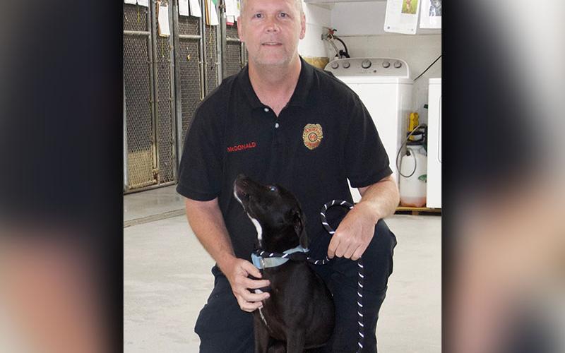 This cute pup is a female lab mix who was picked up on Highway 515 in Blue Ridge May 5. She is mostly black with a white patch on her chin and chest. View this cutie using intake number 135-22. She is shown with Animal Control Officer Luke McDonald.