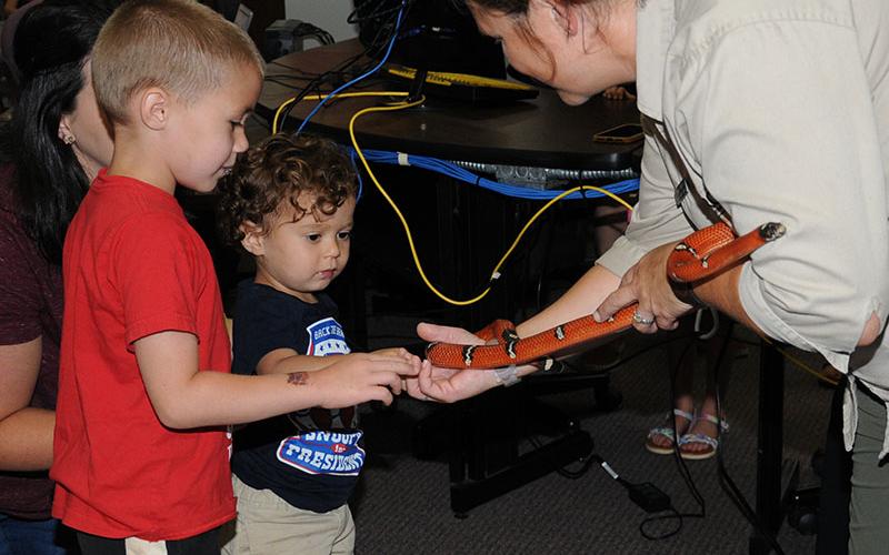 Everett, 6, and Wyatt, 4, took their turns petting Kathy Church’s King snake.