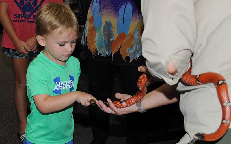 Children were fascinated as they touched a King snake.
