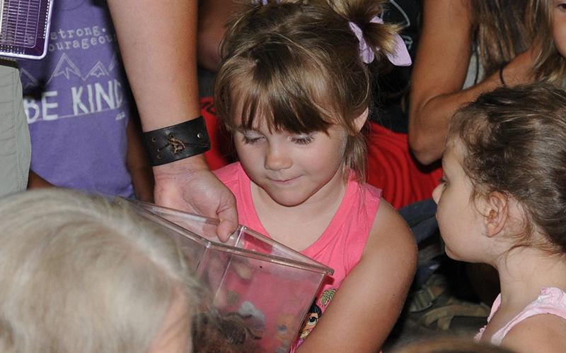 That’s close enough for this young lady as she looks in on a spider.