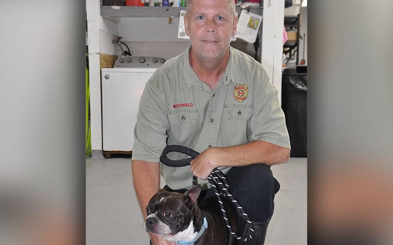 This cutie is a male Boston Terrier mix who was found in Mineral Bluff August 10. He has a black coat with white patches. He is shown with Animal Control Officer Luke McDonald. View this puppers using intake number 289-22.
