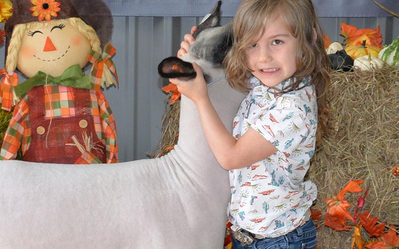 Stella Cotts, a Fannin County 4-H member, works to make her sheep behave during the Fannin County FFA Alumni Association Youth Fair Saturday, September 17, at the school system Agriculture Facility in Blue Ridge.