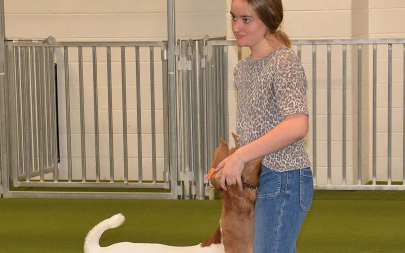 Kaleighann Ware, an FFA member at Fannin County High School, has her prize winning goat under control at the FFA Alumni Youth Fair.