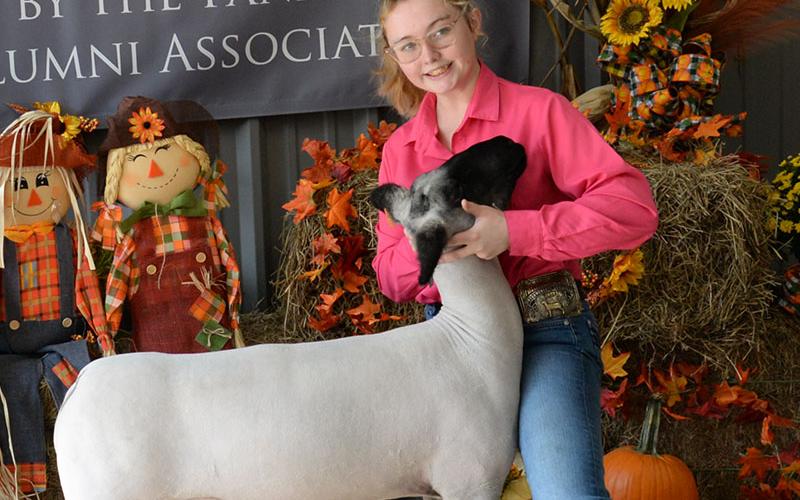 Addison McDermott of Fannin County 4-H has her hands full with her sheep.