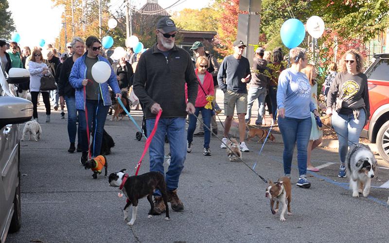 Dogs of all sizes and breeds paraded through downtown Blue Ridge Saturday morning to kick off Paws in the Park.