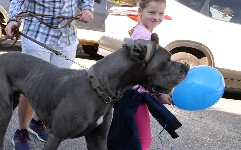 This young lady and her friend, who is almost taller than she is, enjoyed the Paws in the Park parade Saturday morning.