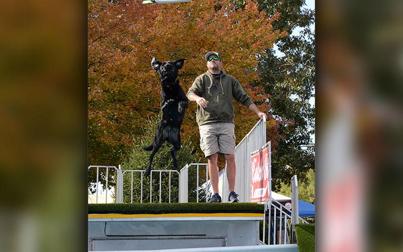Dock Diving dogs were a big hit at Paws in the Park.