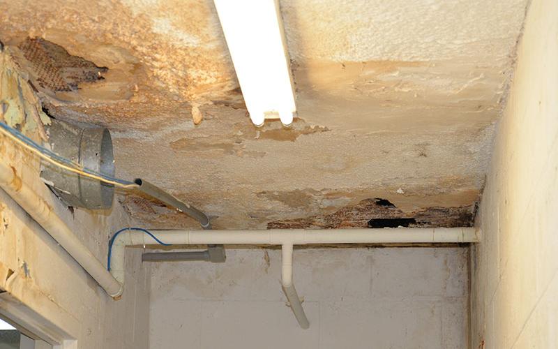 Water damage to the ceiling and walls is common throughout the old courthouse in Ducktown. Polk commissioners toured the building in October.