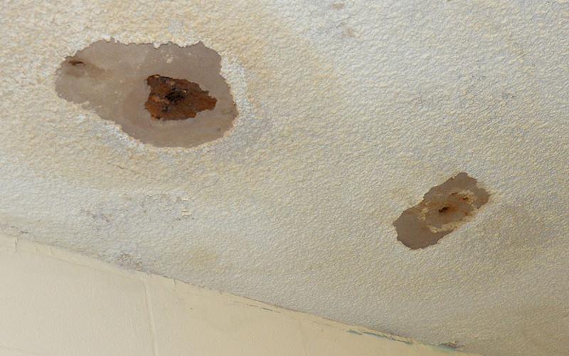 Damage such as this, fallen ceiling tiles, holes in the ceiling and black mold, are common throughout the old Polk County Courthouse in Ducktown. The building was closed last week by county commissioners.