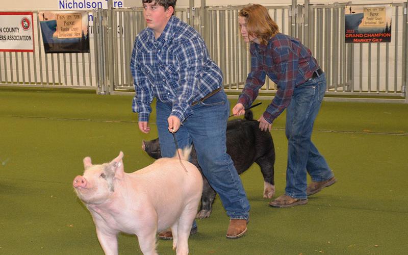 Jason Allen, left, and Trenton Flowers are shown during the Showmanship competition at Pigs on the Ridge.