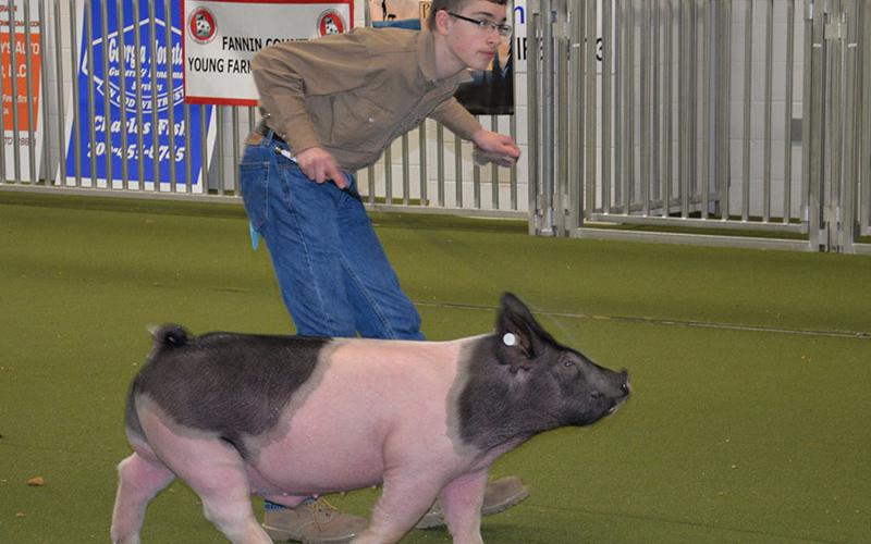 James Burrell claimed a second place in Showmanship competition at Pigs on the Ridge.