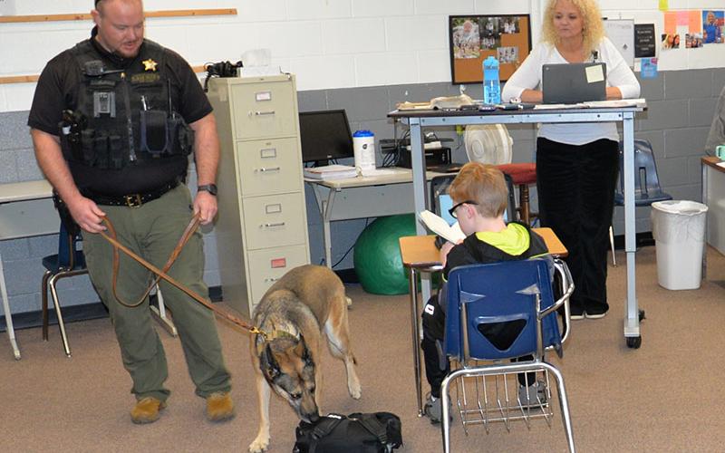 Vendy, the Fannin County Sheriff’s Office K9 trained to detect drugs, checks a backpack at Fannin County Middle School under the watchful eye of her handler, Sergeant Jacob Pless. Vendy did a walk-through of the school Wednesday. Here, Vendy and Pless are in Cindi Barnes’ classroom.