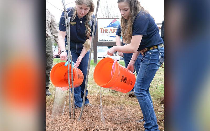Samantha Adkins, left, and Sarah Brawley put the finishing touches on a Serviceberry tree planted outside The Art Center in honor of Arbor Day.