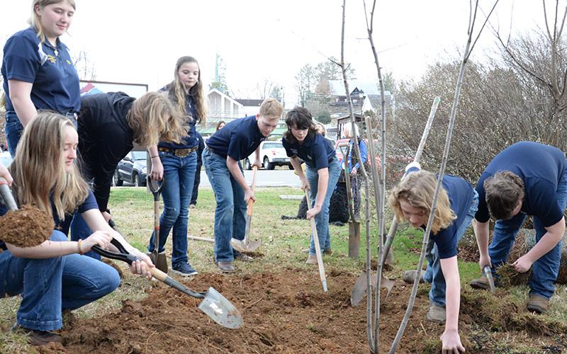 FFA members taking part in the planting of the Serviceberry tree in honor of Arbor Day are, from left, Kaleighann Ware , Samantha Adkins , Skylar Gazaway, Sarah Brawley, Dakoda Moore, and Mason Ramey