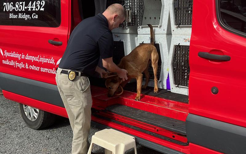 Animal Control Officer Luke McDonald is pictured loading the last dog for the transport from Blue Ridge to the Humane Society in Florida.