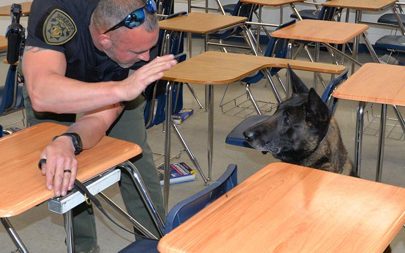 Gilmer County Sheriff’s Office Corporal David Ridings finds the bait his K-9 Milo has just alerted to during training following a search of Fannin County High School. The box containing the bait can be seen attached to the underside of the student desk.
