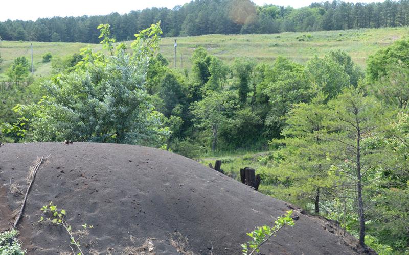 Carroll Hill is one of the biosolid success stories Buddy Haynes tells. It’s the grassy area in the background in front of the tree line. In the foreground is a slag pile, which is what Carroll Hill looked like before the reclamation process started.