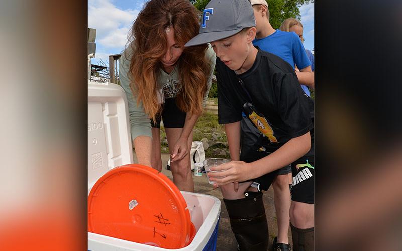 Alex Ware waits as Exploratory Teacher Althea Gobble catches a rainbow trout fingerling to be released into the Toccoa River at Tammen Park. The trout were raised in the classroom by Fannin County Middle School students taking part in a long range project to complete the stream and habitat restoration of Mineral Springs and Weaver creeks.