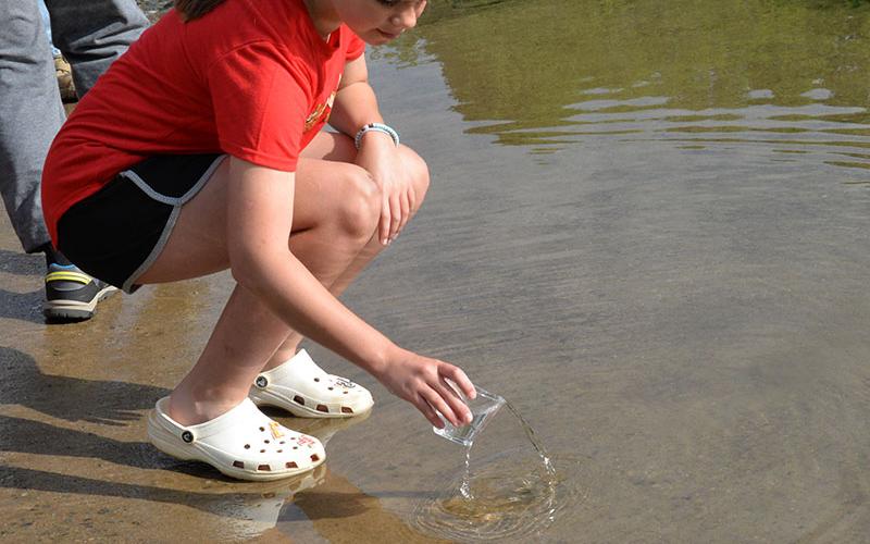 Jayden Collins carefully releases a fingerling rainbow trout into the Toccoa River at Tammen Park.