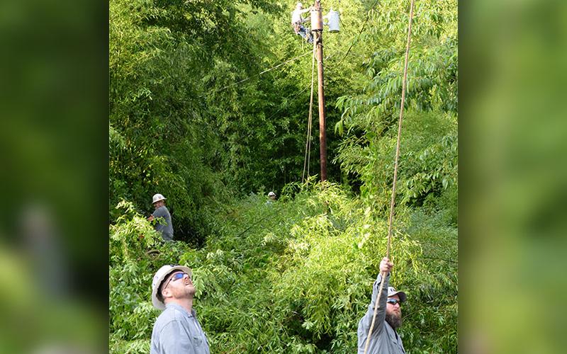 Someone is always looking up for safety when power is restored. Here, front to back, Sterling Callihan, Nic Fowler, Wesley Jones, Travis Sisson, and Darrin Queen work off Blue Ridge Drive in McCaysville.