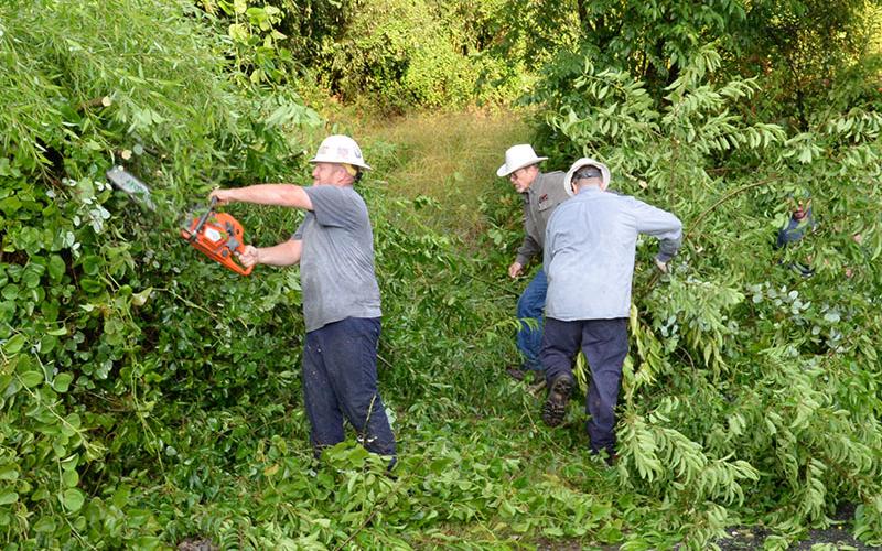 Wesley Jones, from left, Rodney Patterson and Sterling Callihan finish clearing a path between two power poles Sunday. One was on the side of Blue Ridge drive, but the other was deep behind a wall of brush and small trees, and up the hill.