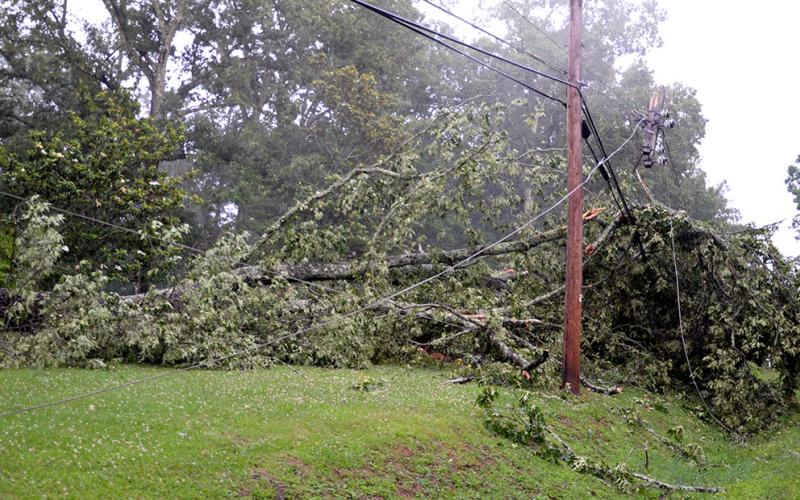 Scenes like this were all too common Sunday afternoon after an unexpected storm blew through much of Fannin County. This scene is on Old Highway 5 in Epworth.