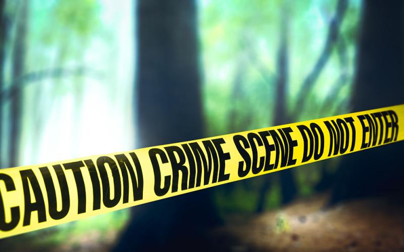 A positive identification is expected to have to be made through DNA samples.