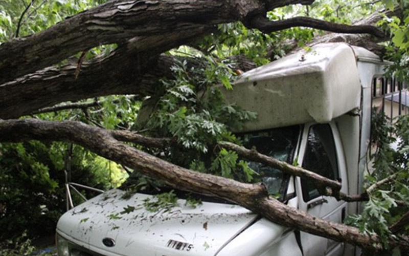 This van used by Mineral Springs Center was one of two damaged beyond repair when a large White Oak destroyed it during a June 25 storm.