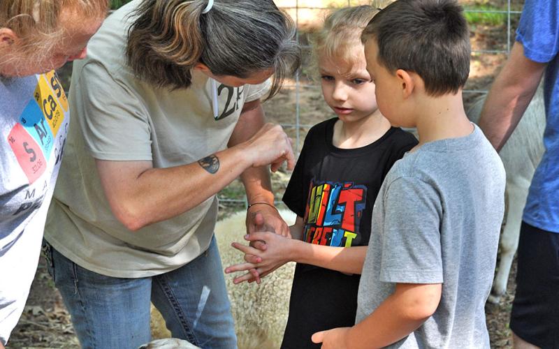 Creekside Petting Zoo was present at the Fall Festival in Epworth Saturday, featuring a number of goats, a small cow, and a few smaller animals including rabbits and a guinea pig.