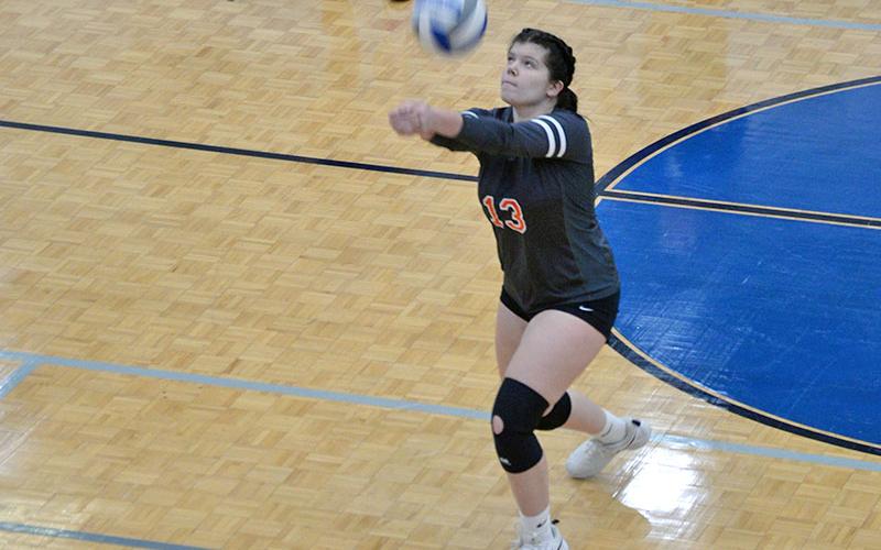 Nicole Marrie sets up a shot for the Lady Cougars in volleyball action earlier this year. She had nine aces against Polk County.